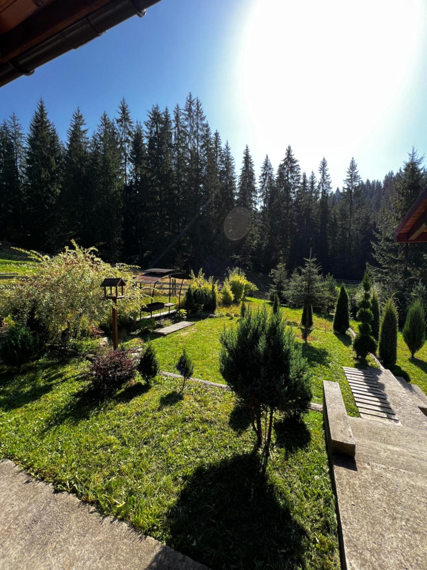 Marmarosy Hotel Ворохта Екстериор снимка